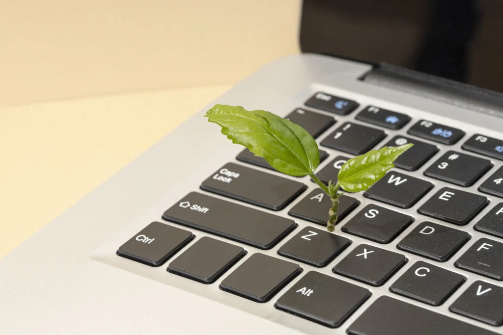 Un'immagine che rappresenta una foglia verde che cresce su un computer portatile, simbolo di tecnologia eco-friendly e focus sulle spedizioni sostenibili.